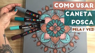 COMO USAR caneta POSCA  Iniciantes  Taty Alencar Mandalas [upl. by Wawro209]