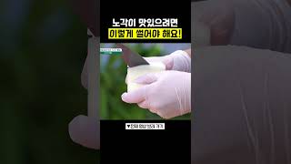 저장 필수 노각 써는 법⭐ 행복한아침 [upl. by Anyotal]