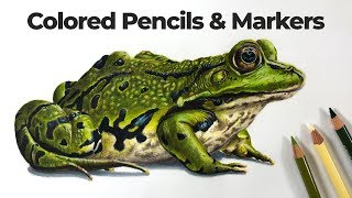 How to Draw with Markers and Colored Pencils  Frog [upl. by Ahlgren]