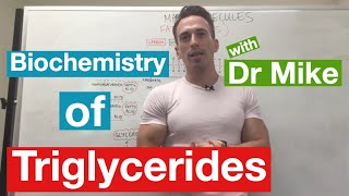 Fatty Acids Glycerol and Lipids  Biochemistry [upl. by Arihsak125]