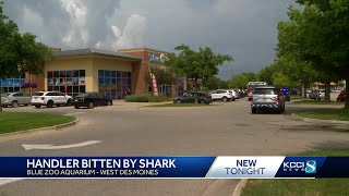 Metro aquarium employee bit by small shark authorities say [upl. by Ainerol]