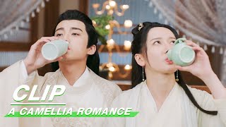 Clip Xu Is Not Good At Drinking  A Camellia Romance EP17  许纯纯的茶花运  iQiyi [upl. by Maurita]