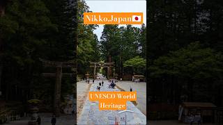 UNESCO World Heritage Site Nikko Japan 🇯🇵 travel japan nikko unescoworldheritage shrines [upl. by Kee]