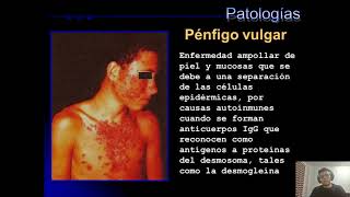 HISTOLOGĆ¨A Seminario 1 Epitelio Parte 2 [upl. by Larred]