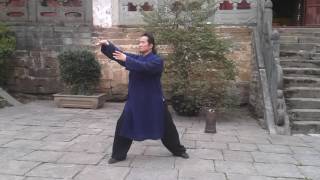 Wudang Tai Chi on Wudang Mountain [upl. by Ahtanoj732]