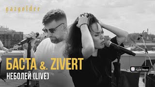 Баста amp Zivert  неболей LIVE [upl. by Penoyer]