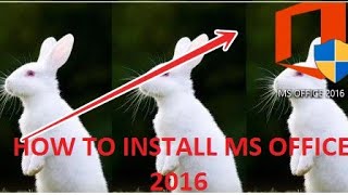 How to install MS Office 2016 [upl. by Kemble116]