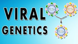 Reassortment Phenotypic mixing Recombination and Complementation [upl. by Celin107]