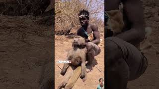 Incredible hadzabe tribe a big baboon 😱 africa animals monkey hadzabetribe africawildlife [upl. by Enamrej266]