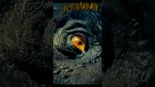 Rexy vs Dc2 Giganotosaurus dino jurassicworld jurassicpark rexyedit [upl. by Tor993]