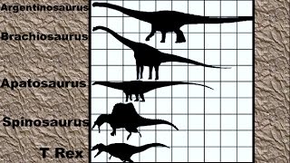 Dinosaur Size Comparison 2D [upl. by Akino]