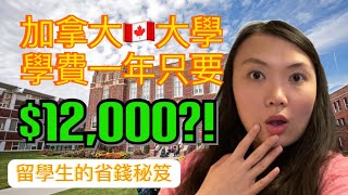 加拿大8間最便宜的大學 🇨🇦（Top 8 Cheapest Universities in Canada [upl. by Duff]