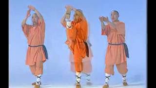 Shaolin Kung fu 18 Basic Techniques ShiBa Shi [upl. by Johannes381]