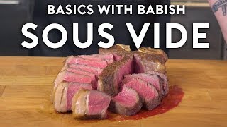 Sous Vide  Basics with Babish [upl. by Nerrawed]