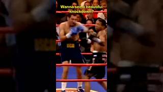 Want to see a beautiful knockdown in a boxing match delahoya boxing [upl. by Annohsed]