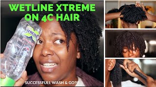 Y’ALL I FINALLY TRIED THE WETLINE XTREME GEL WASH AND GO ON TYPE 4 HAIR KandidKinks [upl. by Aiykan]