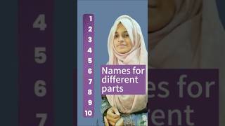 Do you know the names for Different parts learnenglish [upl. by Bale]