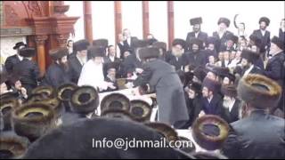 New Tosh Rebbe Throwing Apples Sukkos 5776 [upl. by Letti]