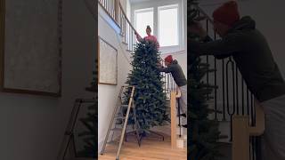 Set up our 12 foot tall Christmas tree with us 🎄 christmas holidays christmastree [upl. by Lordan146]