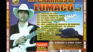 Los Charros de Lumaco  Los Auténticos 2006 Volumen 2  FULL ALBUM [upl. by Yblek794]