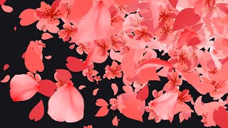 Red Sakura Cherry Blossom Stream Transition [upl. by Krissy]