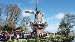 Keukenhof 2016 [upl. by Isle]