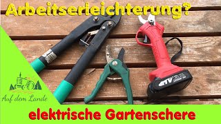 Das hätte ich nicht erwartet 😳 TEST  Elektrische Gartenschere Akku Astschere Rebschere Easyprune [upl. by Aerdnak]