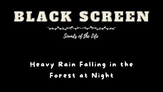 Heavy Rain Falling in the Forest at Night – Rain Sounds Wash Away Daily Fatigue Goodbye to Stress [upl. by Sharron707]