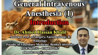 Introduction to general anaesthesia in veterinary field مقدمة عن التخدير العام في الحقل البيطري [upl. by Elon]