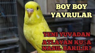 Üretimhanemizde Son Durum l Teksas Show Jumbo Yakaladık l Yuva Açılışı l Vlog [upl. by Vicky]