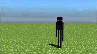 Enderman Teleport Test [upl. by Nacnud]