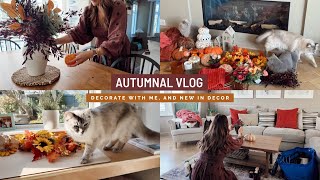 Cosy Autumnal vlog  Decorate with me Autumnal decor ideas new decor from The Range and a haul 🍂 [upl. by Anelah]