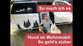 Hund im Wohnmobil  so geht´s sicher  Expertentipp Mädes und Nikki 🦮 [upl. by Bertine980]