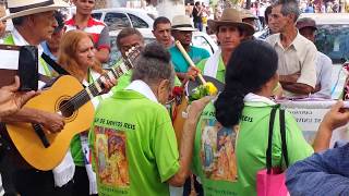 Folia de reis festa de Trindade 2015 [upl. by Hsac]