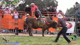 PRIMERO JARIPEO 2019 EN LA CAPITAL DEL JARIPEO COLUSA CALIFORNIA [upl. by Aihsenet]