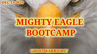 Angry birds 2 Mighty Eagle Bootcamp 2bonuscards 20241214 Pretty fine runafter Daily Challenge [upl. by Juni]