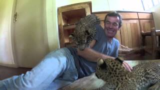 Orphaned leopard cubs in South Sudan Sven and David von Burgsdorff [upl. by Yroj]