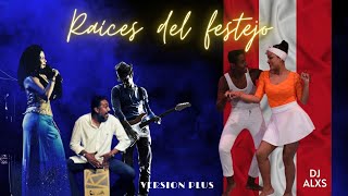 RAICES DEL FESTEJO LE DIJE A PAPÁ Versión Plus  Eva Ayllón  DJ ALXS [upl. by Saleme662]