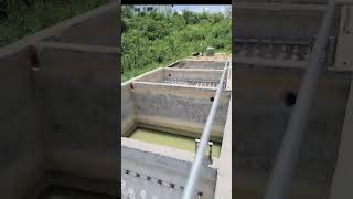 Piggery Farm Wastewater Treatment Plant [upl. by Artemisia]