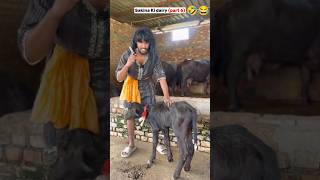 Sakina ki deri part 6 bhains ka ilaaj 😂😂🤣 funny videoDoonboys021 [upl. by Riggins945]