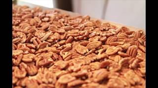 How to get Pecan Halves from Millican Pecan [upl. by Mumford94]