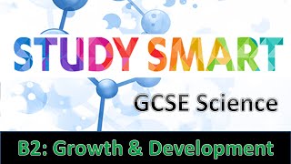 B2 Growth amp Development EDEXCEL [upl. by Llerraf]