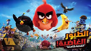 مغامرات الطيور الغاضبة لإنقاذ جزيرتهم  افلام ديزني الملخص كامل  ملخصات افلام كرتون Angry Birds [upl. by Ecurb]