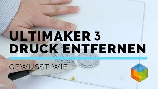 Ultimaker 3  Druck richtig entfernen  8 von 9 [upl. by Emmi577]