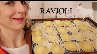 selbstgemachte Ravioli⎮mit Ziegenkäse gefüllt⎮vegetarisch und sooo gut [upl. by Nhguavad257]