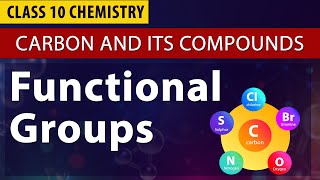 carbon and its compounds  Class 10th Chemistry CBSE Syllabus  Functional groups NCERT [upl. by Ameh]