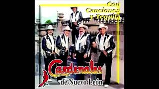 Cardenales de nuevo león mix [upl. by Salesin]