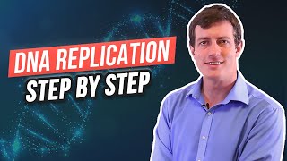 6 Steps of DNA Replication [upl. by Rebmeced283]