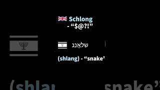 English Words of YIDDISH Origin shorts [upl. by Otiragram]