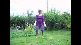 Qi Gong 5 organes de Ke Wen [upl. by Evalyn]